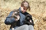 ADULTE ET CHIEN 458